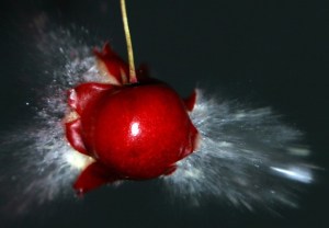 gte3643_exploding-cherry-wallpaper