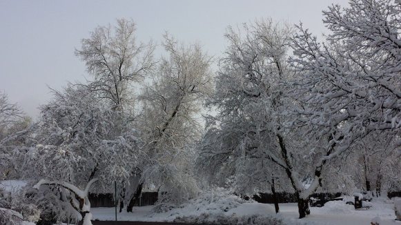 10391523_1236646053030357_1801535185546794300_n